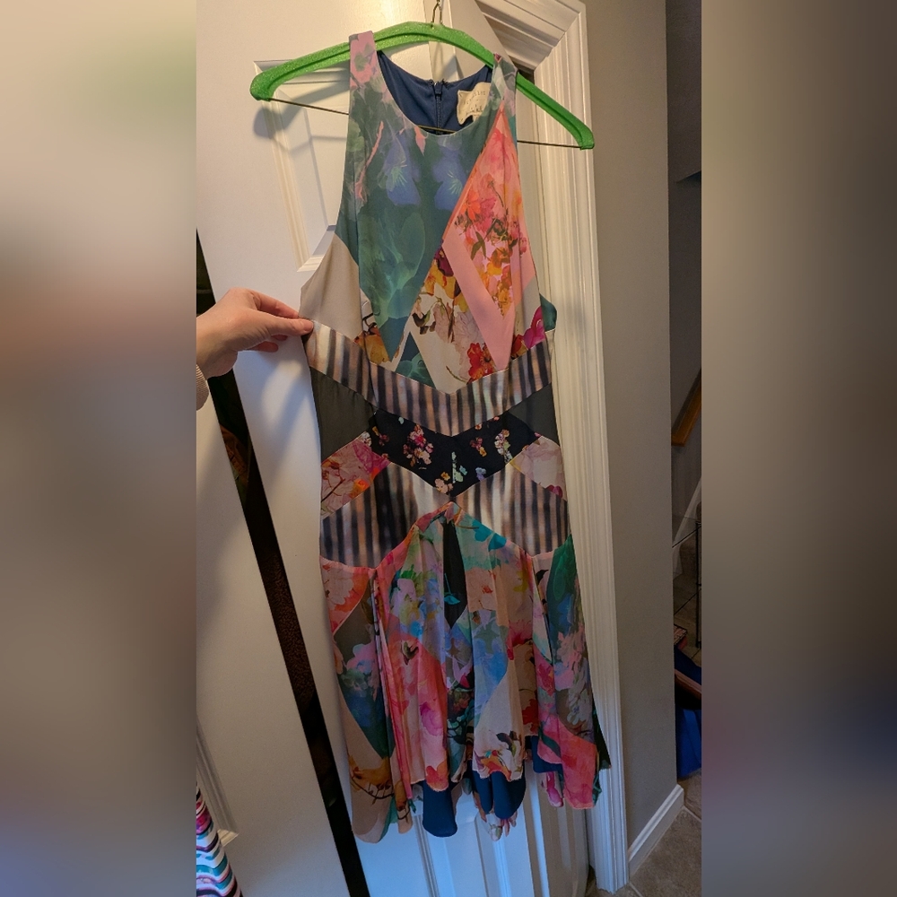 Artelier Nicole Miller Dress, Size 8